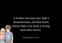 Heart Touching Emotional Brother And Sister Quotes